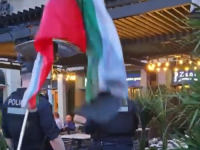 SKANDALOZAN NAPAD NA ULICI: Muškarac šmrkom za vodu tjerao propalestinske demonstrante, policija spriječila opšti haos! (VIDEO)