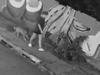 HEROJ NA ČETIRI ŠAPE: Djevojka preživjela stravičan PAD sa teškim povredama – pas postao zvijezda nakon nevjerovatnog PODVIGA (VIDEO)
