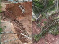 JEZIVI PRIZORI SA OMILJENOG IZLETIŠTA SARAJLIJA: Pogledajte kako džinovski krater guta šumu na Trebeviću (VIDEO)