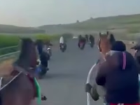 SNIMAK ILEGALNE TRKE KONJA: Gledaoci pucali iz kalašnjikova, policija zaplijenila životinje (VIDEO)