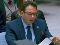 SRBIJA U VIJEĆU SIGURNOSTI UN-a DIREKTNO PROTIV SCHMIDTA: 'Strane intervencije ubijaju kompromis u BiH'