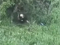 BIZARNA SMRT RUSKOG VOJNIKA: Uzeo komad drveta da 'dokrajči' dron, sekundu kasnije progutala ga vatra (VIDEO)