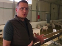 ČETIRI BRATA HERCEGOVCA ODLUČILA POKRENUTI ZANIMLJIV BIZNIS OD NULE: 'Od ovog posla se može živjeti'