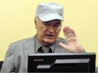 DIREKTOR MEMORIJALNOG CENTRA SARAJEVO: 'Puštanje na slobodu zločinca Mladića bila bi historijska greška!'