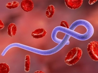 ZARAZA SE ŠIRI: Smrtonosni virus hara zemljom, broj zaraženih dostigao 900