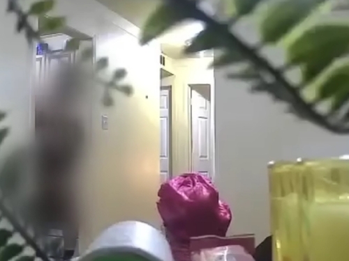 PODSTANARI GLEDALI STANODAVCA NA KAMERAMA I OSTALI UŽASNUTI: Hodao je gol po kući, a to nije najgore (VIDEO)