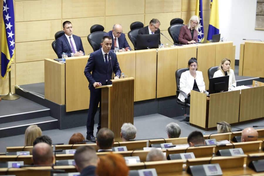 'LEX SPECIALIS' ZA NOVU ŽELJEZARU ZENICA: Dom naroda jednogl