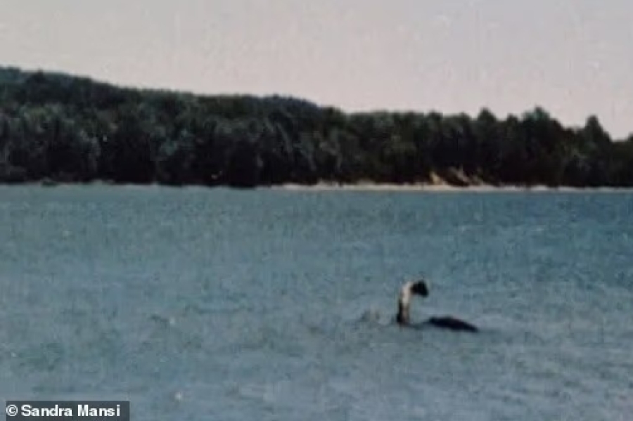 JEZIVI SNIMAK IZ AMERIKE PODIGAO NA NOGE NAUČNIKE: Filmska ekipa slučajno snimila neman iza čamca - 'Oči su nam se iskočile od šoka'