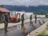 VAŽNO POJAČANJE: Norveška narodna pomoć donirala nove deminerske pse za MO BiH