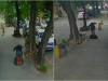 ZAMALO KOBAN ZAVRŠETAK: Pogledajte trenutak kada je žena upala u duboki šaht pun vode! (VIDEO)