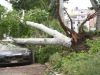 SNAŽNO NEVRIJEME POGODILO RIM: Poplavljene prodavnice, srušena stabla,... (FOTO,VIDEO)