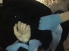 UŽAS NA ULICI: Mladić izboden pet puta, policajci mu stavili lisice umjesto da zovu Hitnu pomoć (VIDEO)