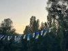 ODGOVOR NA VANDALIZAM: Nakon paljenja zastava BiH, sada ih je postavljeno još više