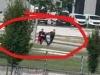 STRPALI GA U GEPEK: Policija objavila detalje o bandi koja je jučer usred dana otela muškarca