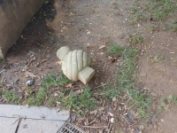 VANDALIZAM U CENTRU SARAJEVA: 'U Velikom parku srušen stari nišan!