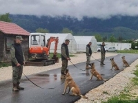 VAŽNO POJAČANJE: Norveška narodna pomoć donirala nove deminerske pse za MO BiH