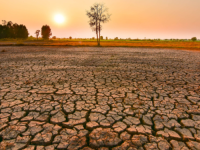 ZVANIČNO JE POČEO EL NINO: Prijeti nam rizik od suša, požara i opasno niskih vodostaja