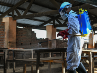 SMRTONOSNI VIRUS STIGAO U EVROPU: Prvi slučaj  prijavljen u Francuskoj!