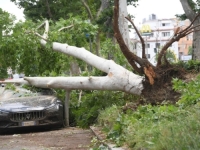 SNAŽNO NEVRIJEME POGODILO RIM: Poplavljene prodavnice, srušena stabla,... (FOTO,VIDEO)