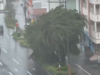 ALARM NA NAJVIŠEM NIVOU: Skoro milion ljudi bježi pred naletom oluje u Japanu! Vjetar čupa drveće, ima povrijeđenih, Tokio pred zatvaranjem! (VIDEO)