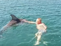 KUPAČI DOŽIVJELI IZNENAĐENJE: Delfin izronio tik ispred njih i počeo da izvodi šou (VIDEO)