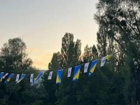 ODGOVOR NA VANDALIZAM: Nakon paljenja zastava BiH, sada ih je postavljeno još više