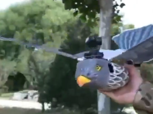 KINESKA VOJSKA ŠOKIRALA SVIJET: Predstavljen novi dron koji izgleda i leti kao prava ptica, savršen je za špijuniranje (VIDEO)