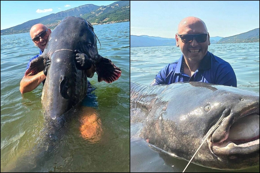 RIJEČNA NEMAN U SRBIJI: Na Dunavu ulovljen ogroman som, ribolovac otkrio tajnu... (VIDEO)