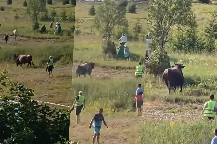 PANIKA NA TRADICIONALNOJ KORIDI: Bik izašao iz ringa, posjetioci bježali na sve strane (VIDEO)