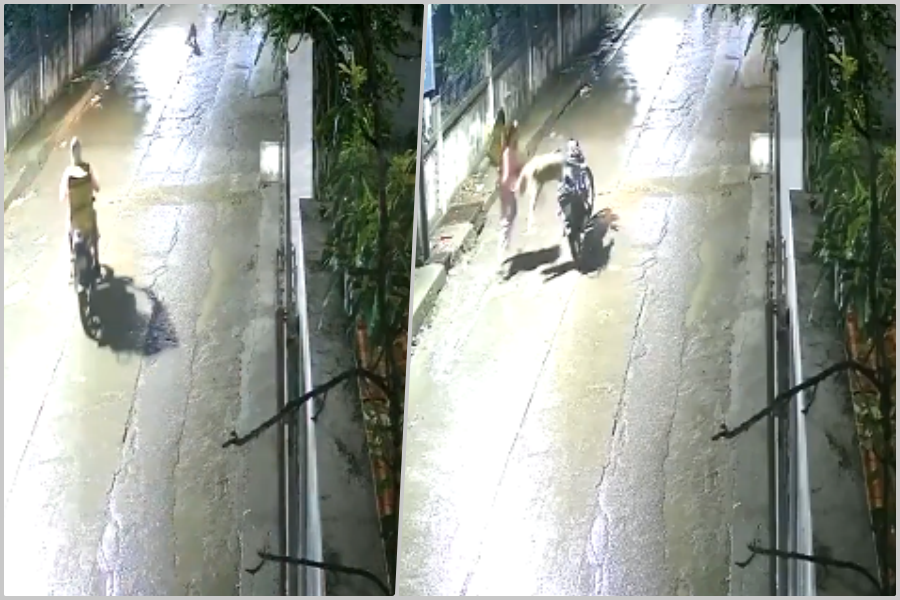 STRAVIČAN SNIMAK KOJI JE NASMIJAO MILIONE: Leopard napao dostavljača, internet gori zbog brutalnih šala o 'izgovoru za kašnjenje hrane' (VIDEO)