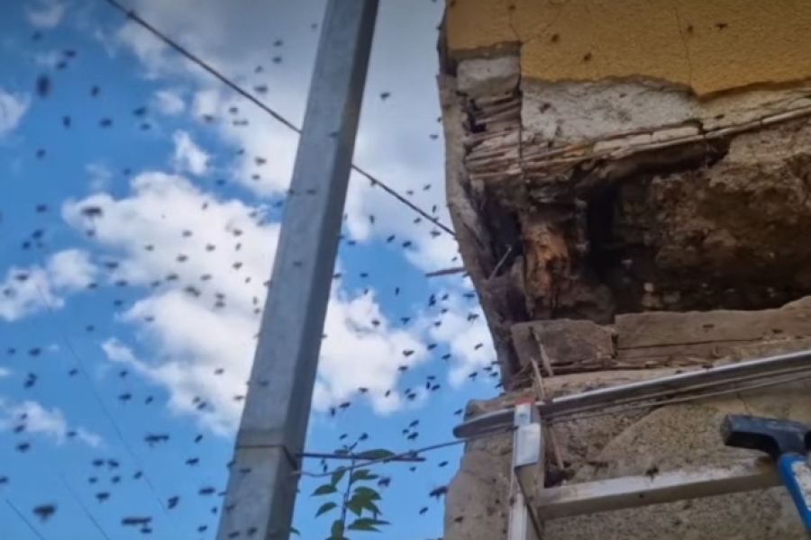 LOVAC NA ZMIJE UŠAO U KUĆU I SNIMIO SCENU IZ NOĆNE MORE: 'Borim se kao lav'