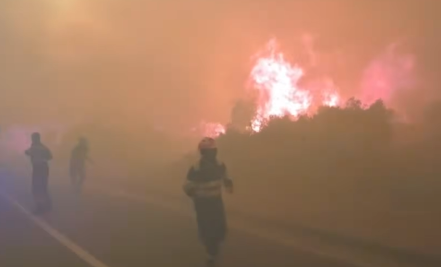 PAKAO NA JADRANU, BUKNULA DVA VELIKA POŽARA: Vatra guta sve pred sobom, požar se širi stravičnom brzinom, sve raspoložive snage na terenu (FOTO, VIDEO)