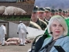 KUGA KOSI SVE PRED SOBOM, HRVATSKA NA RUBU VOJNE INTERVENCIJE: Hrvati se pitaju hoće li im svinjetina poskupiti