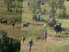 PANIKA NA TRADICIONALNOJ KORIDI: Bik izašao iz ringa, posjetioci bježali na sve strane (VIDEO)
