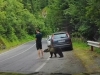 SNIMAK SVE ZAPANJIO: Medvjed prišao turisti s leđa, a onda je nastao HAOS (VIDEO)