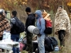 IOM OBJAVIO PODATKE: Novi val migranata na Balkanu, više od pola 'upalih' u BiH