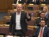 ANDREJ NIKOLAIDIS: Šta bi o istopolnim brakovima rekao koji Njegoš?