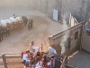 KRVAVI BILANS ČUVENOG FESTIVALA: Završena posljednja utrka s bikovima u Pamploni, desetine povrijeđenih, među njima i stranci! (VIDEO)