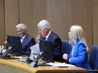 ADEMOVIĆ UZ ČOVIĆA I ŠPIRIĆA: Dom naroda PSBiH usvojio Prijedlog zakona o Sudu BiH