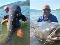 RIJEČNA NEMAN U SRBIJI: Na Dunavu ulovljen ogroman som, ribolovac otkrio tajnu... (VIDEO)