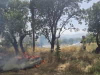 STRAVIČNI PRIZORI IZ BROJNIH EVROPSKIH ZEMALJA: Alarmantno od Portugala do Grčke (VIDEO)