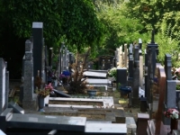 MORBIDNA NOĆ U KOMŠILUKU: Obili porodične grobnice, pa silazili u GROBOVE, otvarali sanduke