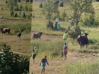 PANIKA NA TRADICIONALNOJ KORIDI: Bik izašao iz ringa, posjetioci bježali na sve strane (VIDEO)