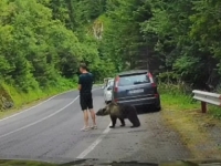 SNIMAK SVE ZAPANJIO: Medvjed prišao turisti s leđa, a onda je nastao HAOS (VIDEO)