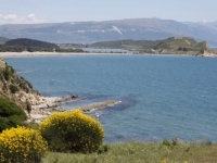 SKANDAL NA JUGU BALKANA SADA JE JOŠ VEĆI: Trumpovom zetu je zemljište za resort prodao čovjek kojeg traže zbog pranja novca