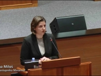 HRVATSKA LJEVICA STALA UZ NACIONALISTE: Podržali etničko predstavljanje u Bosni i Hercegovini