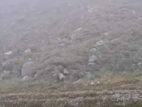 NEVJEROVATNI PRIZORI U SUSJEDSTVU: Na kraju jula pada snijeg (VIDEO)