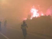 PAKAO NA JADRANU, BUKNULA DVA VELIKA POŽARA: Vatra guta sve pred sobom, požar se širi stravičnom brzinom, sve raspoložive snage na terenu (FOTO, VIDEO)