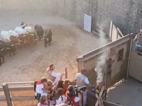 KRVAVI BILANS ČUVENOG FESTIVALA: Završena posljednja utrka s bikovima u Pamploni, desetine povrijeđenih, među njima i stranci! (VIDEO)