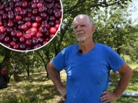 VOĆAR SE ZAPREPASTIO NAKON NEOBIČNOG ZAHTJEVA: Tražio višnje, ali... (VIDEO)